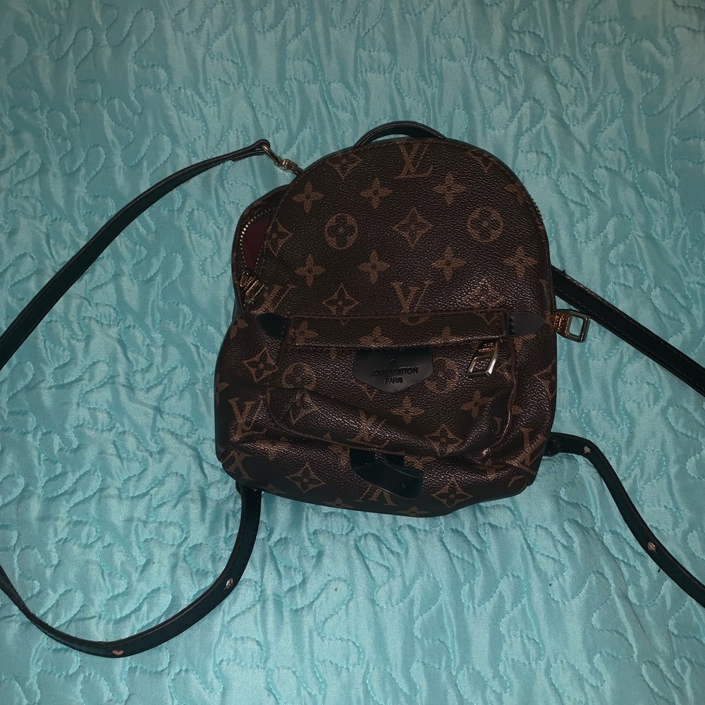 Louis Vuitton Palm Springs mini
